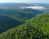 TBD Calvert Shaver Road, Rowlesburg, West Virginia 26425, ,Lots/land,For Sale,Calvert Shaver,10165251