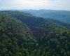 TBD Calvert Shaver Road, Rowlesburg, West Virginia 26425, ,Lots/land,For Sale,Calvert Shaver,10165251