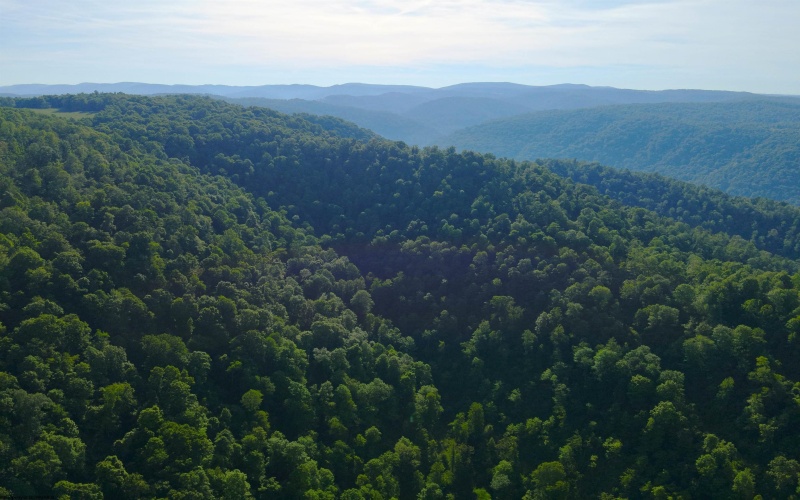 TBD Calvert Shaver Road, Rowlesburg, West Virginia 26425, ,Lots/land,For Sale,Calvert Shaver,10165251