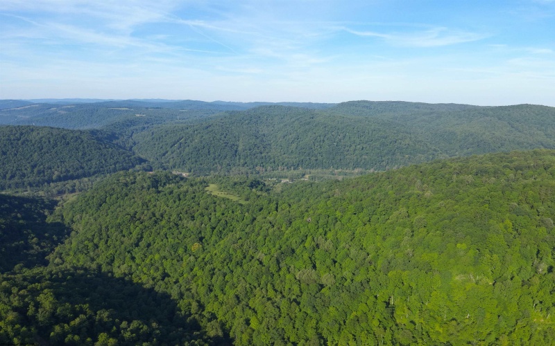 TBD Calvert Shaver Road, Rowlesburg, West Virginia 26425, ,Lots/land,For Sale,Calvert Shaver,10165251