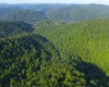 TBD Calvert Shaver Road, Rowlesburg, West Virginia 26425, ,Lots/land,For Sale,Calvert Shaver,10165251