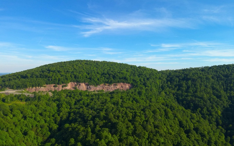TBD Calvert Shaver Road, Rowlesburg, West Virginia 26425, ,Lots/land,For Sale,Calvert Shaver,10165251