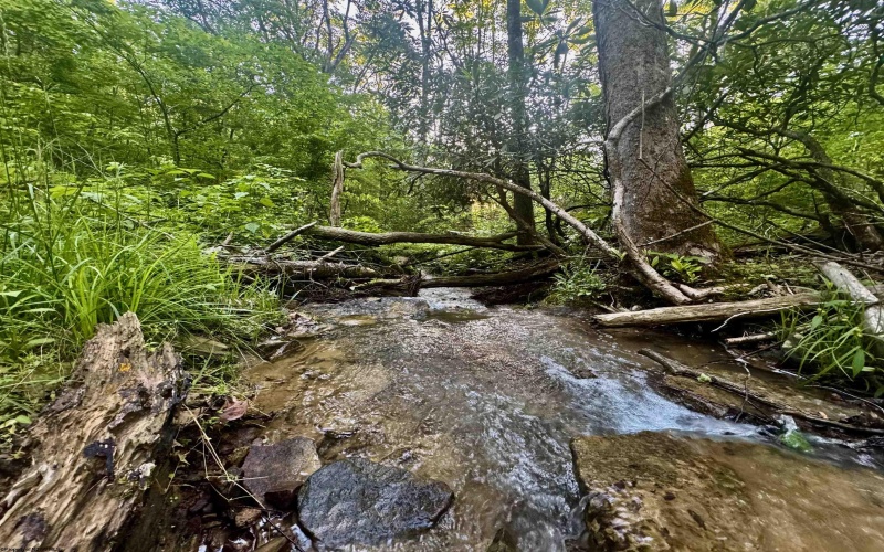 TBD Calvert Shaver Road, Rowlesburg, West Virginia 26425, ,Lots/land,For Sale,Calvert Shaver,10165251