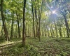 TBD Calvert Shaver Road, Rowlesburg, West Virginia 26425, ,Lots/land,For Sale,Calvert Shaver,10165251