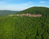 TBD Calvert Shaver Road, Rowlesburg, West Virginia 26425, ,Lots/land,For Sale,Calvert Shaver,10165251