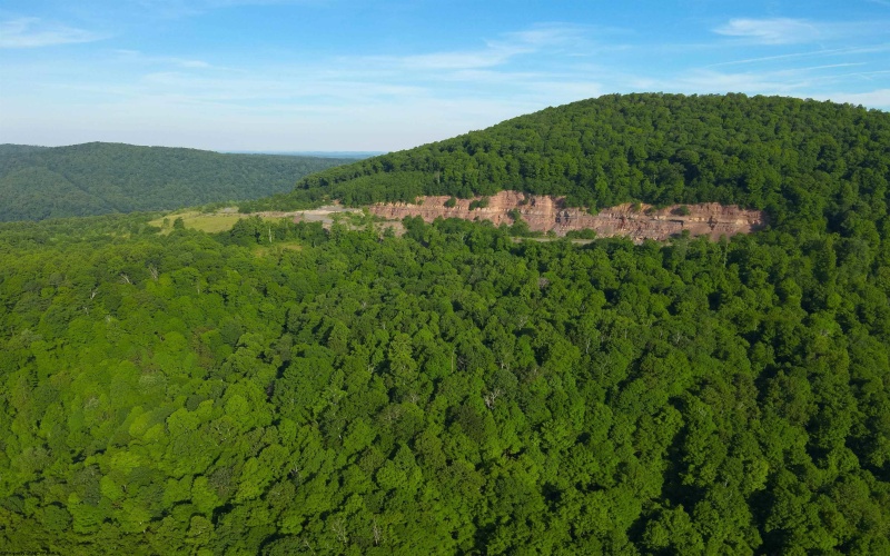 TBD Calvert Shaver Road, Rowlesburg, West Virginia 26425, ,Lots/land,For Sale,Calvert Shaver,10165251