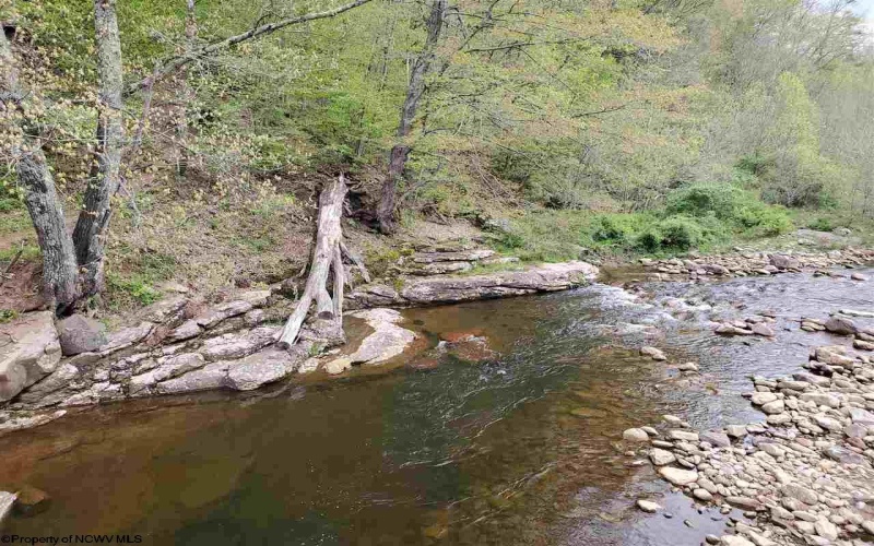 TBD Dolly Lane, Dryfork, West Virginia 26263, ,Lots/land,For Sale,Dolly,10165237