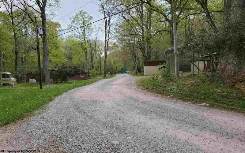 TBD Dolly Lane, Dryfork, West Virginia 26263, ,Lots/land,For Sale,Dolly,10165237