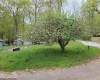 TBD Dolly Lane, Dryfork, West Virginia 26263, ,Lots/land,For Sale,Dolly,10165237