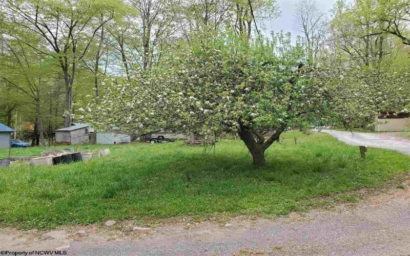 TBD Dolly Lane, Dryfork, West Virginia 26263, ,Lots/land,For Sale,Dolly,10165237