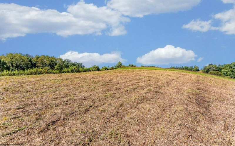 TBD Owagner Lane, Clarksburg, West Virginia 26301, ,Lots/land,For Sale,Owagner,10165238