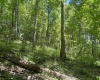 Lot 1 Ashland Ridge, Porters Falls, West Virginia 26162, ,Lots/land,For Sale,Ashland,10165239
