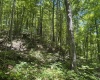 Lot 1 Ashland Ridge, Porters Falls, West Virginia 26162, ,Lots/land,For Sale,Ashland,10165239