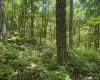 Lot 1 Ashland Ridge, Porters Falls, West Virginia 26162, ,Lots/land,For Sale,Ashland,10165239