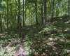 Lot 1 Ashland Ridge, Porters Falls, West Virginia 26162, ,Lots/land,For Sale,Ashland,10165239