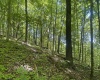 Lot 1 Ashland Ridge, Porters Falls, West Virginia 26162, ,Lots/land,For Sale,Ashland,10165239