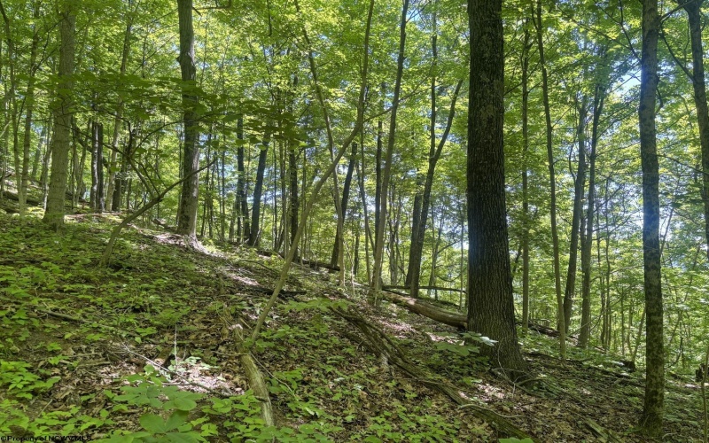 Lot 1 Ashland Ridge, Porters Falls, West Virginia 26162, ,Lots/land,For Sale,Ashland,10165239