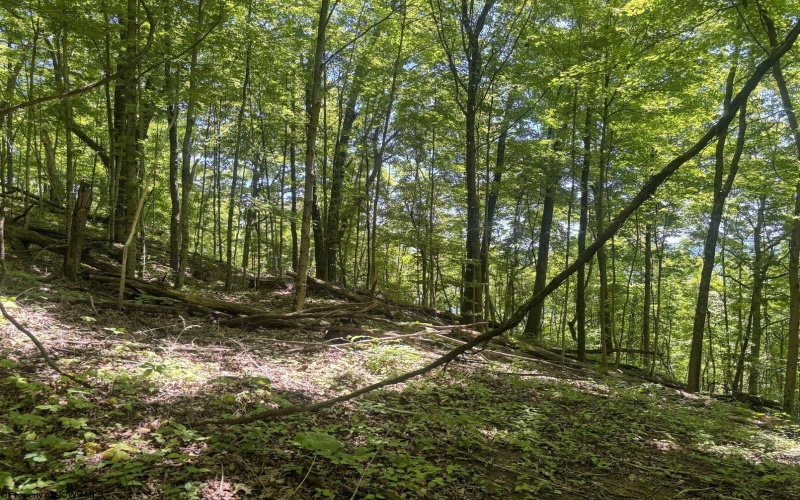 Lot 1 Ashland Ridge, Porters Falls, West Virginia 26162, ,Lots/land,For Sale,Ashland,10165239