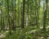 Lot 1 Ashland Ridge, Porters Falls, West Virginia 26162, ,Lots/land,For Sale,Ashland,10165239