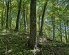 Lot 1 Ashland Ridge, Porters Falls, West Virginia 26162, ,Lots/land,For Sale,Ashland,10165239