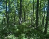 Lot 1 Ashland Ridge, Porters Falls, West Virginia 26162, ,Lots/land,For Sale,Ashland,10165239