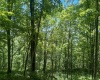 Lot 1 Ashland Ridge, Porters Falls, West Virginia 26162, ,Lots/land,For Sale,Ashland,10165239