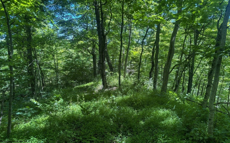 Lot 1 Ashland Ridge, Porters Falls, West Virginia 26162, ,Lots/land,For Sale,Ashland,10165239