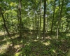 Lot 1 Ashland Ridge, Porters Falls, West Virginia 26162, ,Lots/land,For Sale,Ashland,10165239