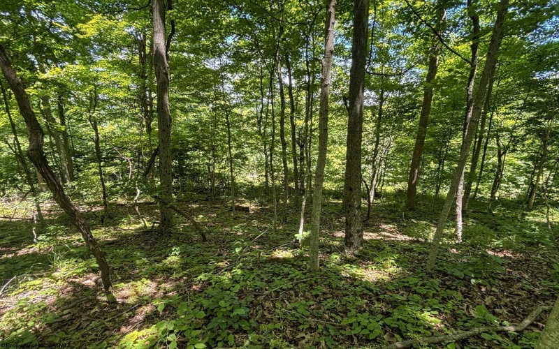 Lot 1 Ashland Ridge, Porters Falls, West Virginia 26162, ,Lots/land,For Sale,Ashland,10165239