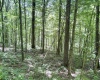 Lot 1 Ashland Ridge, Porters Falls, West Virginia 26162, ,Lots/land,For Sale,Ashland,10165239