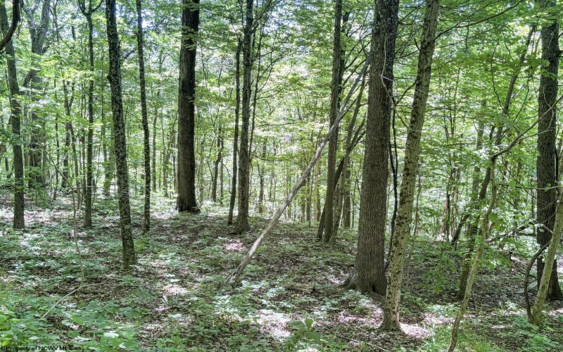Lot 1 Ashland Ridge, Porters Falls, West Virginia 26162, ,Lots/land,For Sale,Ashland,10165239