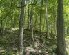 Lot 1 Ashland Ridge, Porters Falls, West Virginia 26162, ,Lots/land,For Sale,Ashland,10165239