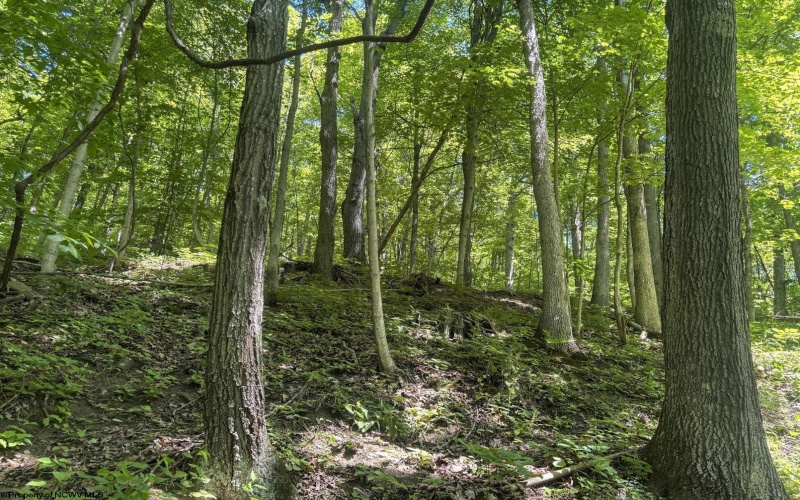 Lot 1 Ashland Ridge, Porters Falls, West Virginia 26162, ,Lots/land,For Sale,Ashland,10165239