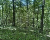 Lot 1 Ashland Ridge, Porters Falls, West Virginia 26162, ,Lots/land,For Sale,Ashland,10165239