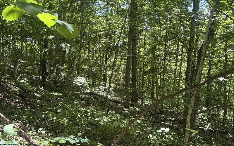 Lot 1 Ashland Ridge, Porters Falls, West Virginia 26162, ,Lots/land,For Sale,Ashland,10165239
