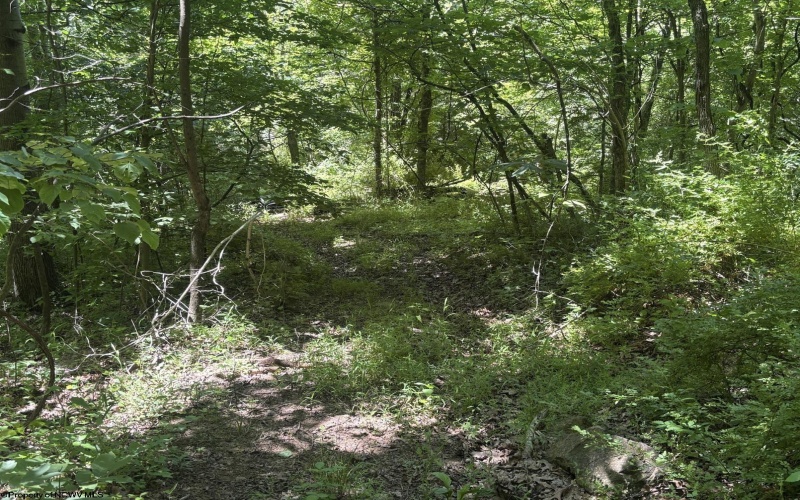 Lot 1 Ashland Ridge, Porters Falls, West Virginia 26162, ,Lots/land,For Sale,Ashland,10165239