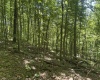 Lot 1 Ashland Ridge, Porters Falls, West Virginia 26162, ,Lots/land,For Sale,Ashland,10165239