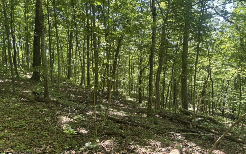 Lot 1 Ashland Ridge, Porters Falls, West Virginia 26162, ,Lots/land,For Sale,Ashland,10165239