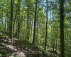 Lot 1 Ashland Ridge, Porters Falls, West Virginia 26162, ,Lots/land,For Sale,Ashland,10165239