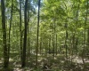 Lot 1 Ashland Ridge, Porters Falls, West Virginia 26162, ,Lots/land,For Sale,Ashland,10165239