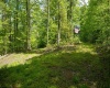 Lot 1 Laurel Mountain Road, Belington, West Virginia 26250, ,Lots/land,For Sale,Laurel Mountain,10165248 Lot 1 Laurel Mountain Road, Belington, West Virginia 26250, ,Lots/land,For Sale,Laurel Mountain,10165248