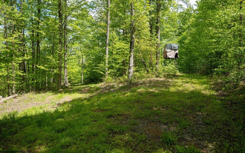 Lot 1 Laurel Mountain Road, Belington, West Virginia 26250, ,Lots/land,For Sale,Laurel Mountain,10165248 Lot 1 Laurel Mountain Road, Belington, West Virginia 26250, ,Lots/land,For Sale,Laurel Mountain,10165248