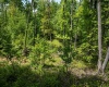 Lot 1 Laurel Mountain Road, Belington, West Virginia 26250, ,Lots/land,For Sale,Laurel Mountain,10165248 Lot 1 Laurel Mountain Road, Belington, West Virginia 26250, ,Lots/land,For Sale,Laurel Mountain,10165248
