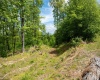 Lot 1 Laurel Mountain Road, Belington, West Virginia 26250, ,Lots/land,For Sale,Laurel Mountain,10165248 Lot 1 Laurel Mountain Road, Belington, West Virginia 26250, ,Lots/land,For Sale,Laurel Mountain,10165248
