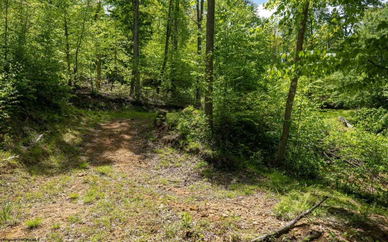 Lot 1 Laurel Mountain Road, Belington, West Virginia 26250, ,Lots/land,For Sale,Laurel Mountain,10165248 Lot 1 Laurel Mountain Road, Belington, West Virginia 26250, ,Lots/land,For Sale,Laurel Mountain,10165248
