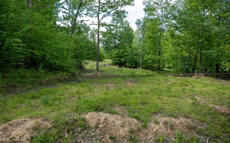 Lot 1 Laurel Mountain Road, Belington, West Virginia 26250, ,Lots/land,For Sale,Laurel Mountain,10165248 Lot 1 Laurel Mountain Road, Belington, West Virginia 26250, ,Lots/land,For Sale,Laurel Mountain,10165248
