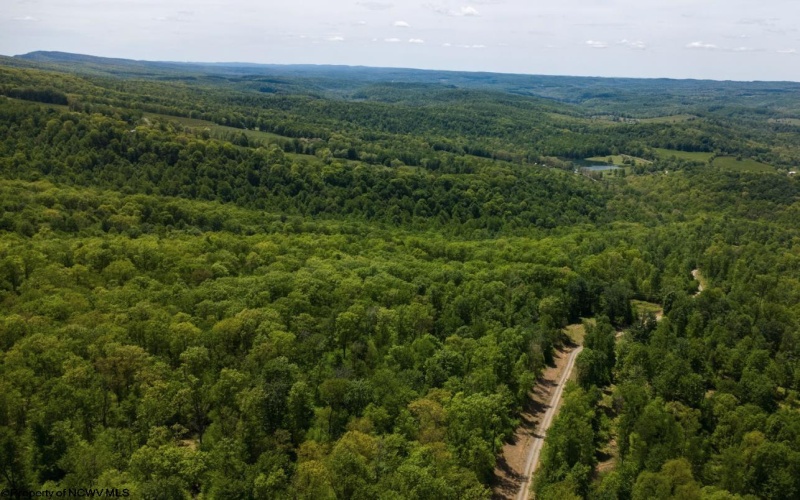 Lot 1 Laurel Mountain Road, Belington, West Virginia 26250, ,Lots/land,For Sale,Laurel Mountain,10165248 Lot 1 Laurel Mountain Road, Belington, West Virginia 26250, ,Lots/land,For Sale,Laurel Mountain,10165248