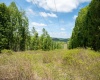 Lot 1 Laurel Mountain Road, Belington, West Virginia 26250, ,Lots/land,For Sale,Laurel Mountain,10165248 Lot 1 Laurel Mountain Road, Belington, West Virginia 26250, ,Lots/land,For Sale,Laurel Mountain,10165248