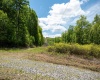 Lot 1 Laurel Mountain Road, Belington, West Virginia 26250, ,Lots/land,For Sale,Laurel Mountain,10165248 Lot 1 Laurel Mountain Road, Belington, West Virginia 26250, ,Lots/land,For Sale,Laurel Mountain,10165248