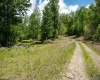 Lot 1 Laurel Mountain Road, Belington, West Virginia 26250, ,Lots/land,For Sale,Laurel Mountain,10165248 Lot 1 Laurel Mountain Road, Belington, West Virginia 26250, ,Lots/land,For Sale,Laurel Mountain,10165248